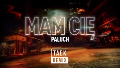 Photo of Paluch – Mam Cię (Dj Taek Remix)