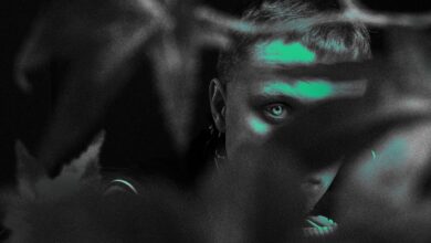 Photo of Flips － Daj Mi Spać