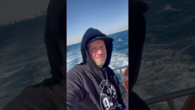 Photo of STILL ON TOUR