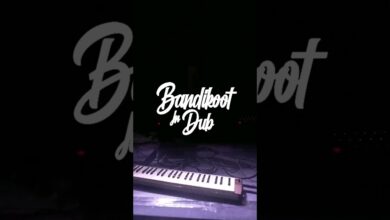 Photo of OUT NOW : Bandikoot in Dub „Saccage”