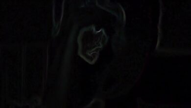 Photo of Korki – Nowy dym