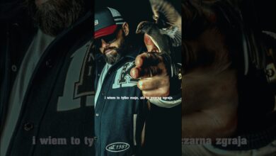 Photo of #SHORTS DGE – MIEJSKIE PTAKI (prod. kbbeatz)