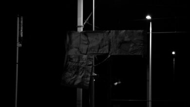 Photo of STRATA – C65 (2K88 x Hades x Kosi)