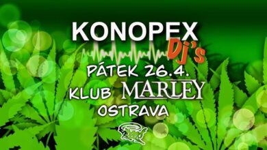 Photo of KONOPEX DJ´S IN DA MARLEY