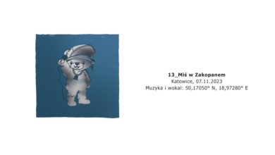 Photo of Kali – Miś w Zakopanem