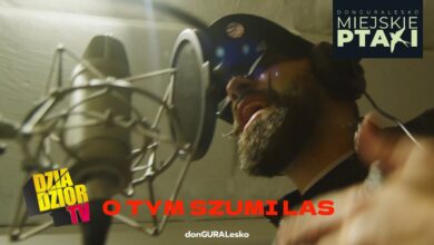 Photo of DGE – O tym szumi las (prod. TASTYdope, skrecze DJ Soina)