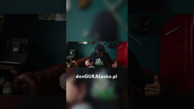 Photo of DGE – O tym szumi las (prod. TASTYdope, skrecze DJ Soina) #shorts