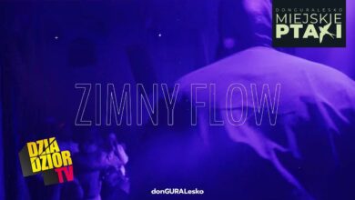 Photo of DGE – Zimny Flow (prod. Look.out) [MIEJSKIE PTAKI]