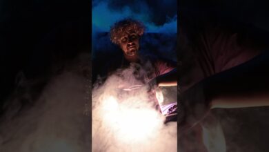 Photo of Tetra Hydro K – New live 2024