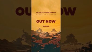 Photo of New single out now : Ob.dub x Le Faune Stepper „Dance Of Delight”