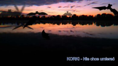 Photo of Korki – Nie chce umierać