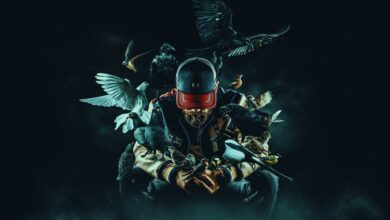 Photo of GDYNIA: donGURALesko "Miejskie Ptaki" / Podwórko.art (klub UCHO)