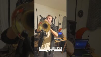 Photo of New album by Le Faune Stepper ! #reggae #electrodub #music