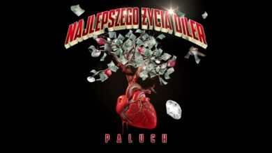 Photo of Paluch – Poryte głowy (prod. PSR)