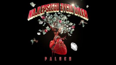 Photo of Paluch – Nigdy w życiu (prod. Sergiusz)