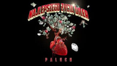 Photo of Paluch – Żelazo (prod. Bruno x Szamz x Swizzy)