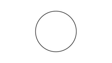 Photo of CIRCLE NIGHT