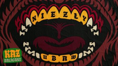 Photo of Kaz Bałagane feat. Don Poldon – Niezły ubaw