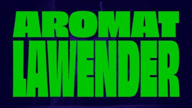 Photo of Kaz Bałagane feat. OG Olgierd – Aromat Lawender