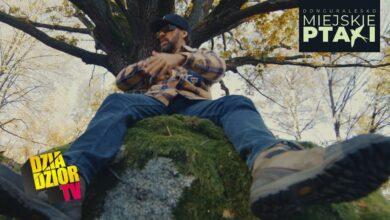 Photo of DGE – Co Mówi Kamień (prod. Look.out) [MIEJSKIE PTAKI]