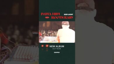 Photo of Dawa Hifi meets Roots Raid „Red Light” album out now !