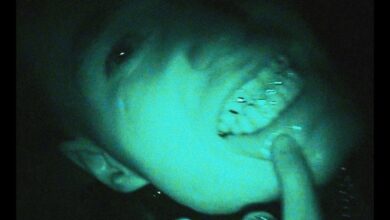 Photo of Szaran – ZARYCZ NO