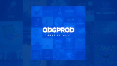 Photo of Best of 2024 (Compilation)