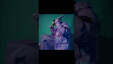 Photo of HOLLYWOOD SMILE X-PERIENCE