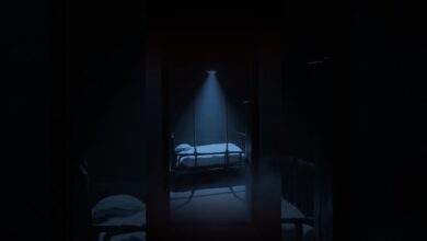 Photo of Awoga | New album out in february 13th