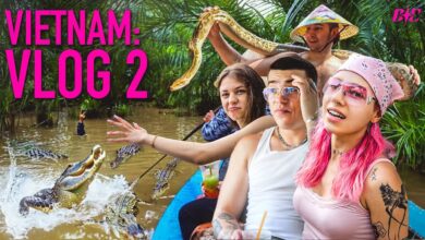 Photo of Young Leosia i bambi kontra aligatory | Baila Ella Vietnam VLOG2