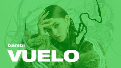 Photo of bambi – VUELO