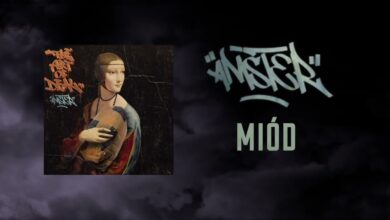 Photo of Amster – MIÓD