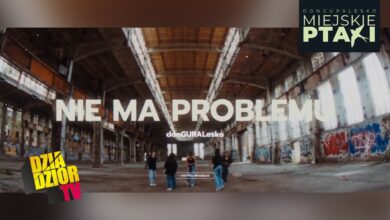 Photo of NIE MA PROBLEMU (prod. LOOK.OUT)