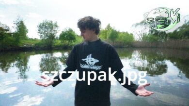 Photo of JAK TRWOGA TO…  [RAMÓWKA SBM #2]