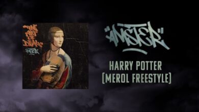 Photo of Amster – HARRY POTTER (Merol Freestyle)