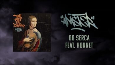 Photo of Amster feat. Hornet – DO SERCA