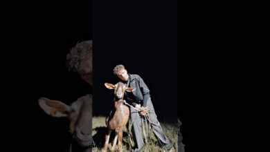 Photo of SZARAN – „MIGI” OUT NOW