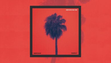 Photo of Roots Raid x Marina P – Deep Into The Vibe