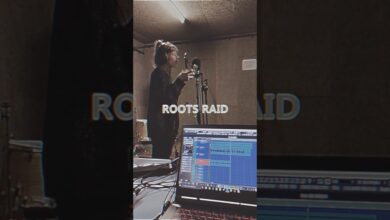 Photo of New single out now ! Roots Raid x Marina P „Deep Into The Vibe”