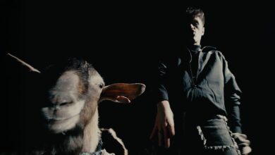 Photo of Szaran – MIGI (RAMÓWKA SBM)