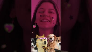 Photo of Leosia i bambi – napad na schronisko (vlog)