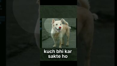 Photo of #please_subscribe_my_channel #tachnogamerz #thanksforwatching #webside #please_subscribe_my_channel