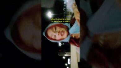 Photo of DZIARMA – Kontrakt