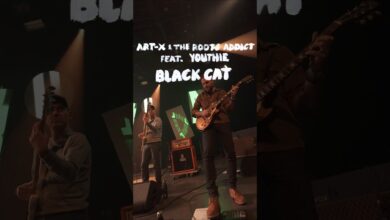 Photo of New single out now : Art-X & The Roots Addict x Youthie „Black Cat”