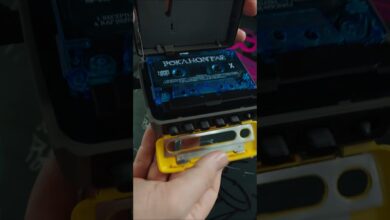 Photo of Strefa interesów (Z archiwum Receptury)