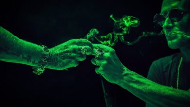 Photo of Kali – Przyjacielu Mój