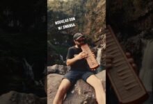 Photo of Swanga x Art-X „Halo” out now ! #dubmusic #melodica