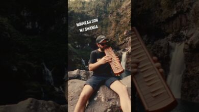 Photo of Swanga x Art-X „Halo” out now ! #dubmusic #melodica