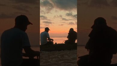 Photo of Sumac Dub remixed by Ondubground ! „Aloe” out now #dubmusic