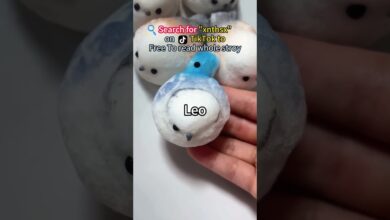 Photo of Click the link on my homepage to download and read the rest for free.